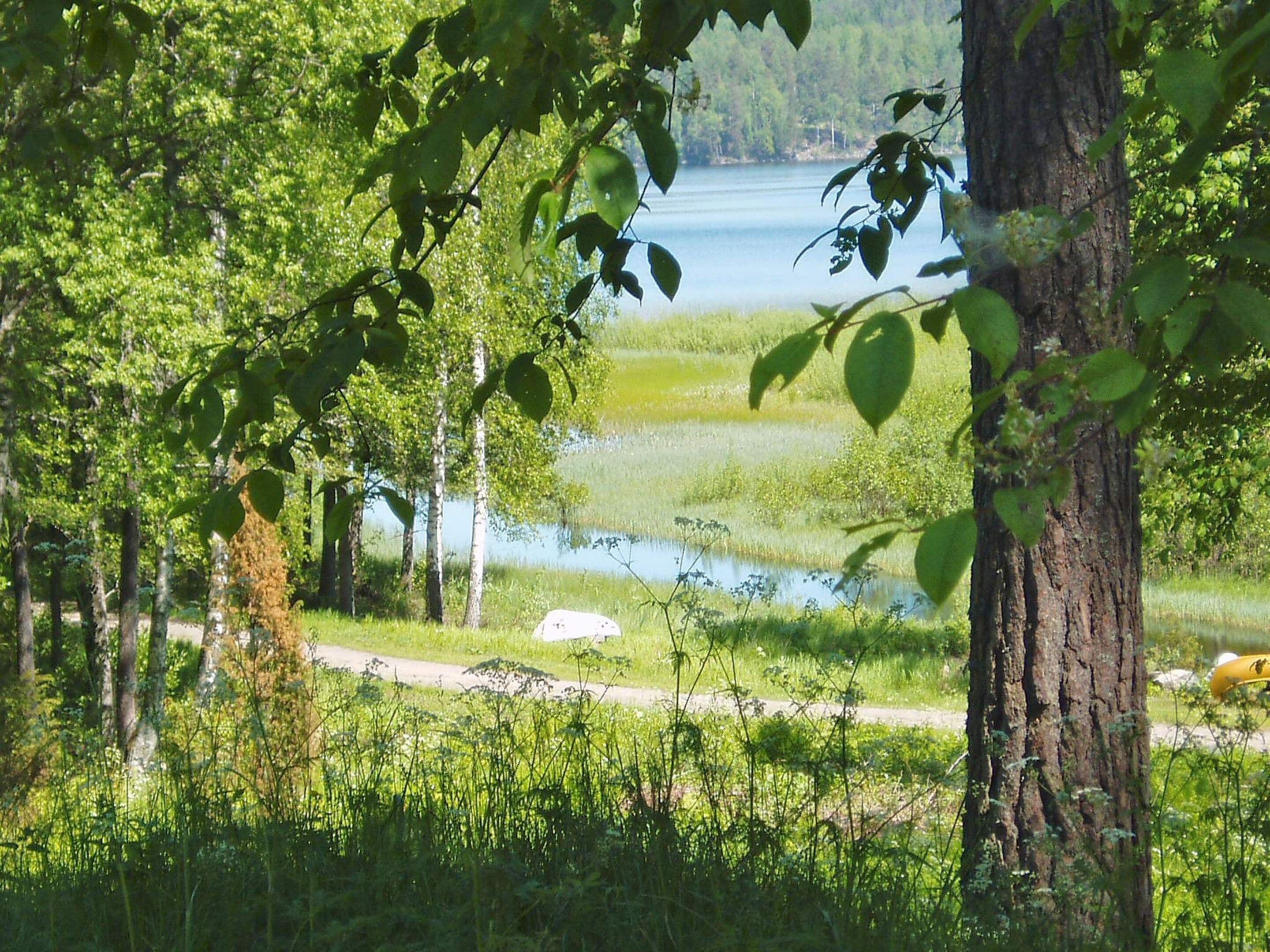 Un paysage naturel comprenant une étendue d’eau, des arbres et un sentier.