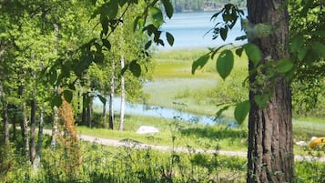 A natural landscape with a body of water, trees, and a path.