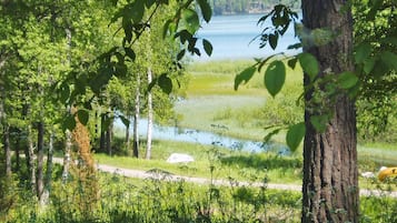 A natural landscape with a lake, trees, and a path.