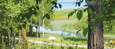 House | Water view