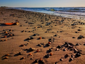 Une plage parsemée de pierres, avec un bateau visible au loin.