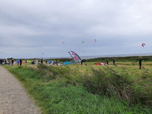 House | Miscellaneous