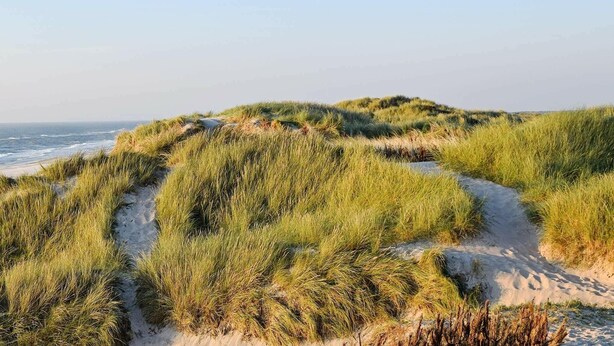 Strand