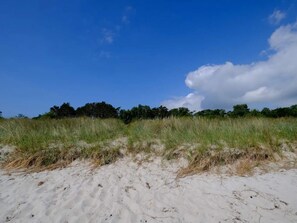 House | Miscellaneous - 11 Person Holiday Home in Vaeggerlose-by Traum (Vaeggerlose)