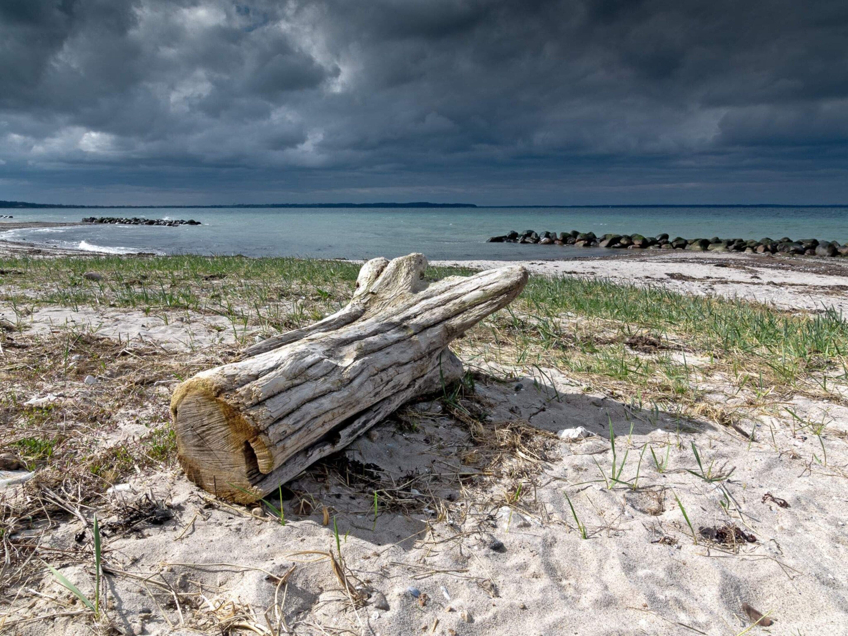 Ein Baumstamm am sandigen Strand mit felsiger Küstenlinie und bewölktem Himmel.