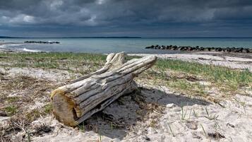 A log on a sandy beach with a rocky shoreline and overcast sky.