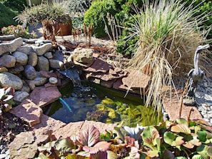 A garden with a pond, rocks, and plants.