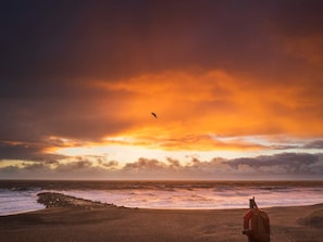 A beach with a lifebuoy and a bird in the sky. - 5 Person Holiday Home in Vestervig-by Traum (Vestervig)