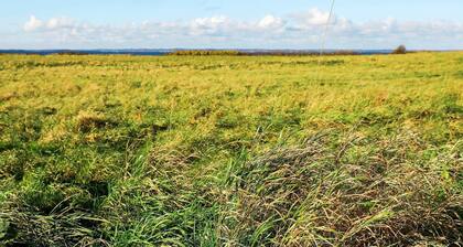 Beautiful Holiday Home in Syddanmark With Sea Views