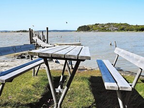 A waterfront picnic area with benches and tables, a pier extending into the water, and a distant shoreline with buildings.