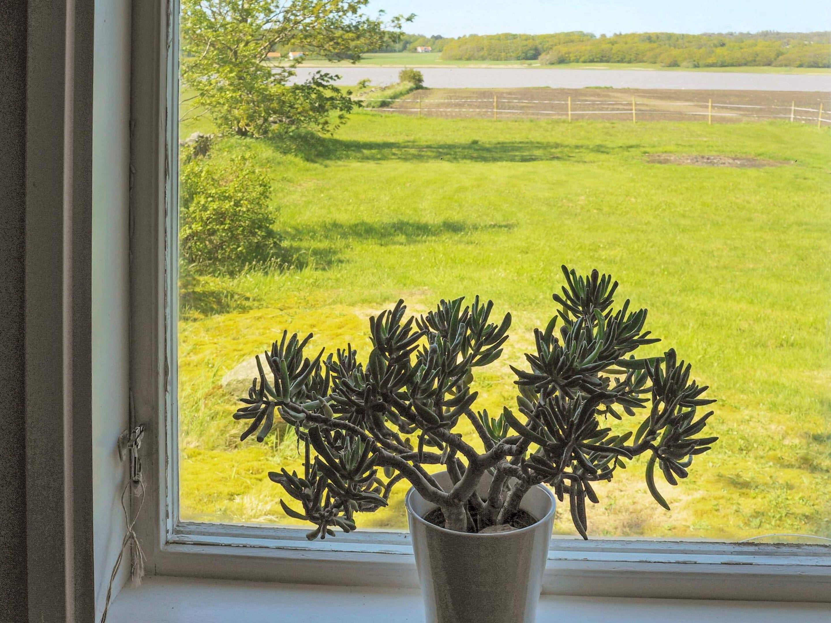 A window with a view of a grassy field and a fence.