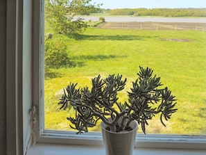 Janela com vista para um campo gramado e uma cerca.
