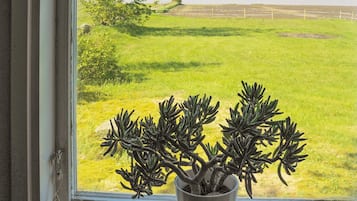 A window with a view of a grassy field and a fence.