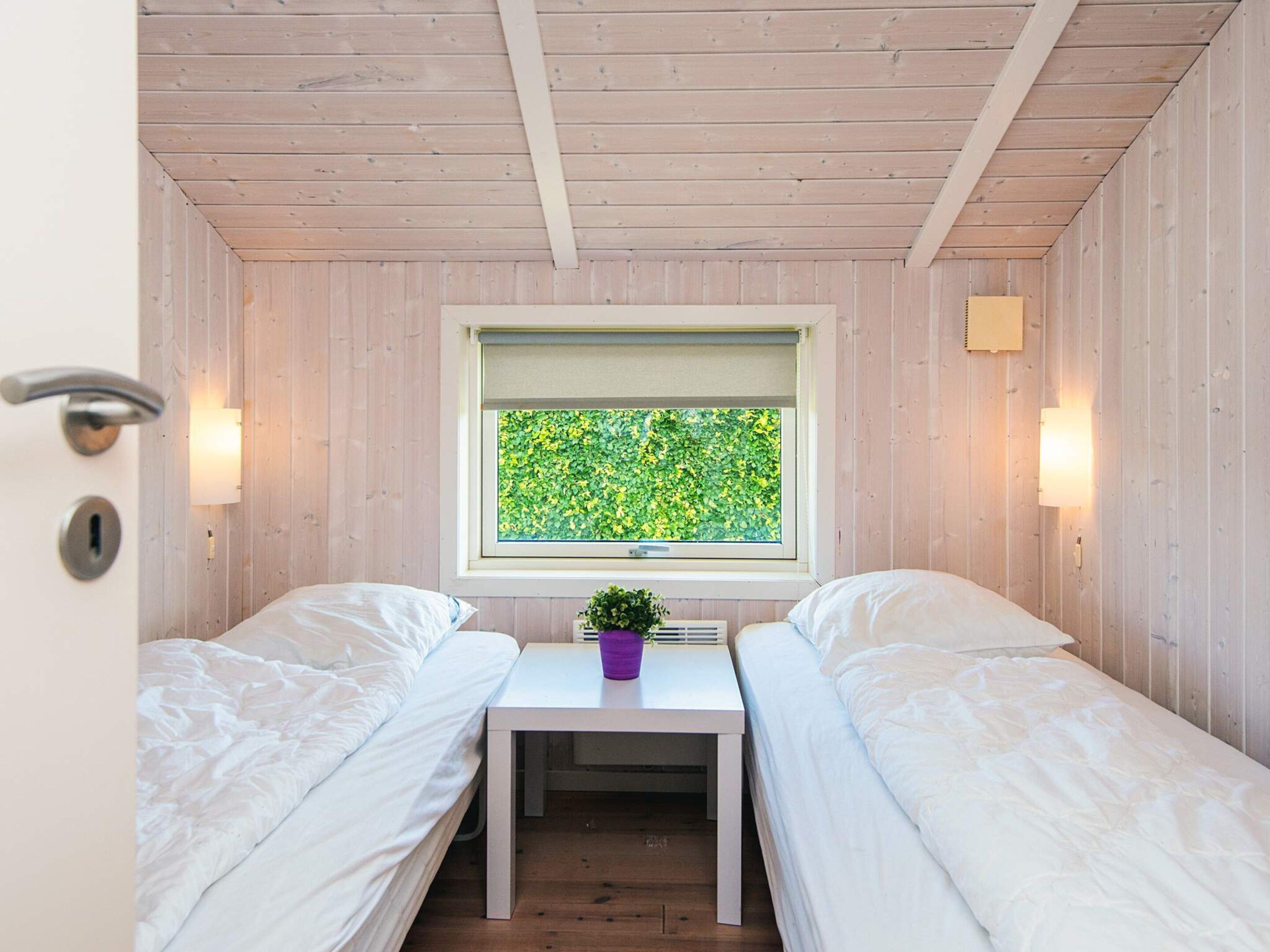 A small room with two beds, a window with a view of greenery, a small table with a plant, and a door with a lock.