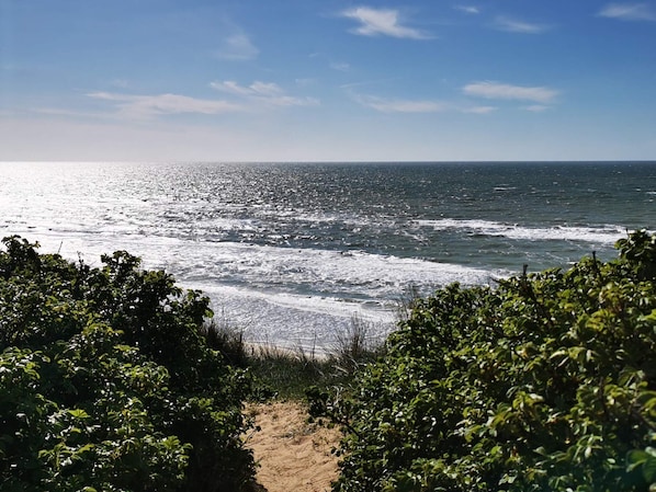 A coastal path leading to the sea with dense greenery on both sides.