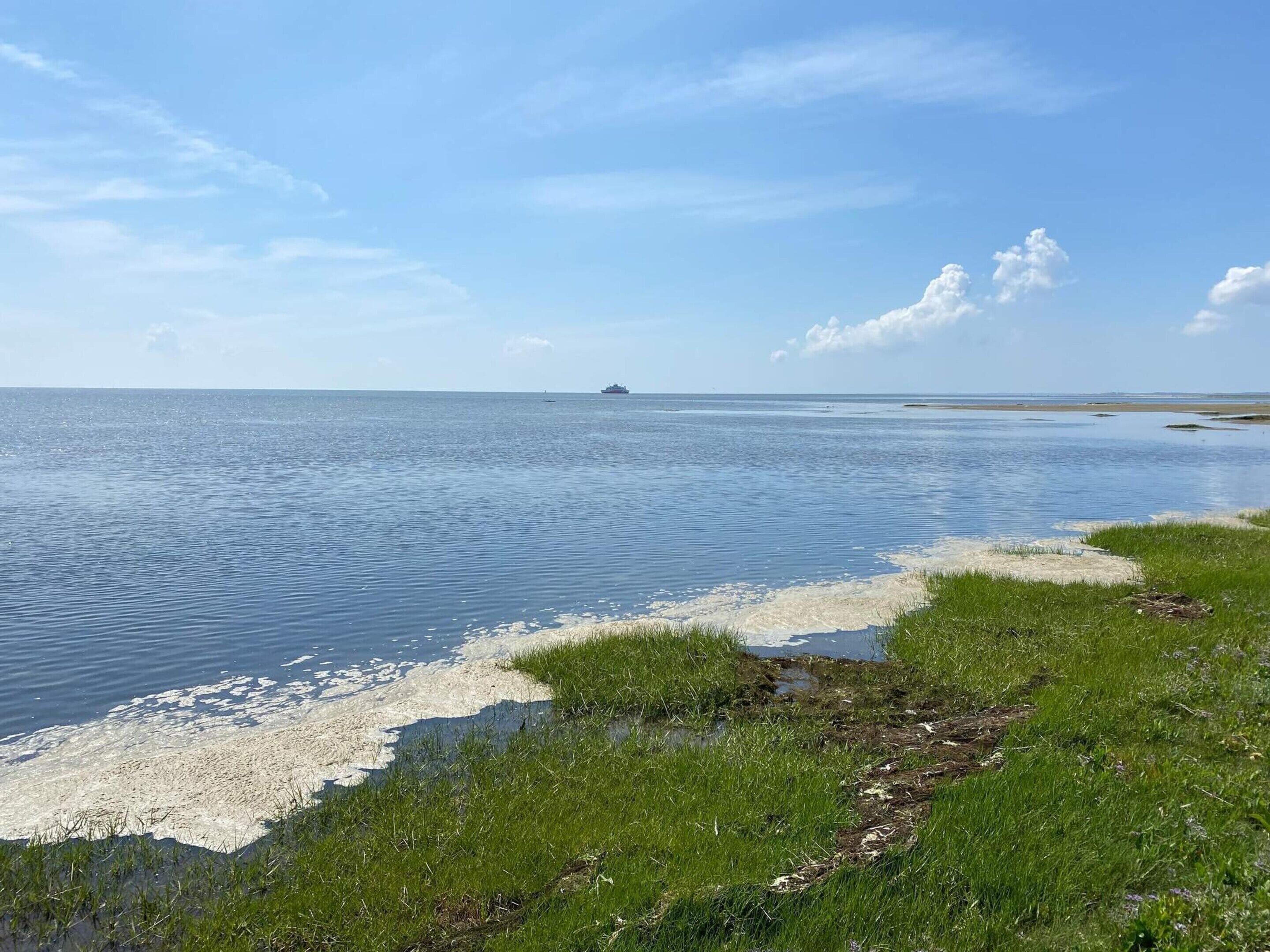 A coastal landscape with a ship in the distance, calm water, and grassy areas.