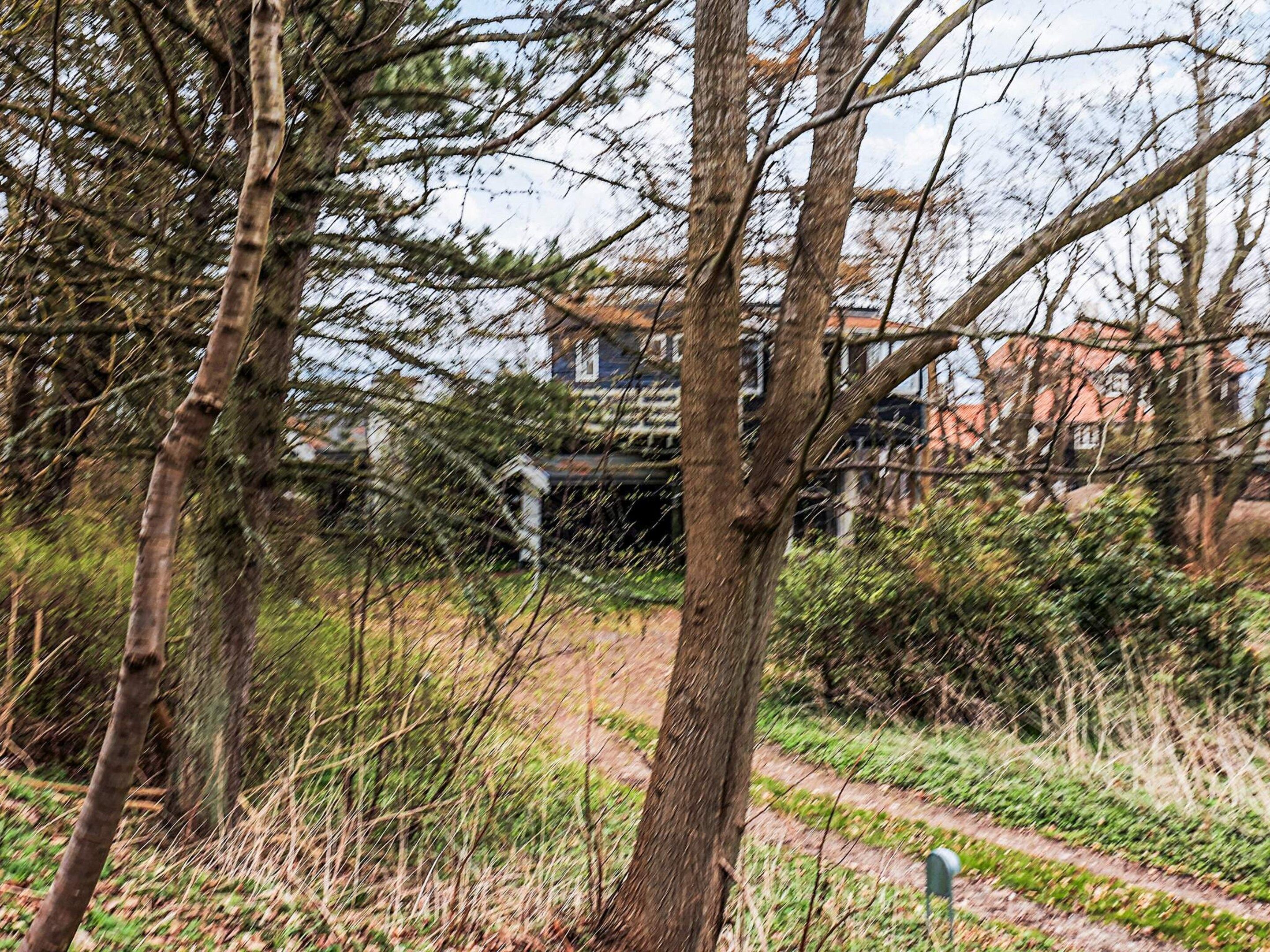 A rural landscape with a path leading to a house surrounded by trees and vegetation.