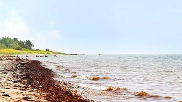 House | Beach