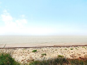 해변