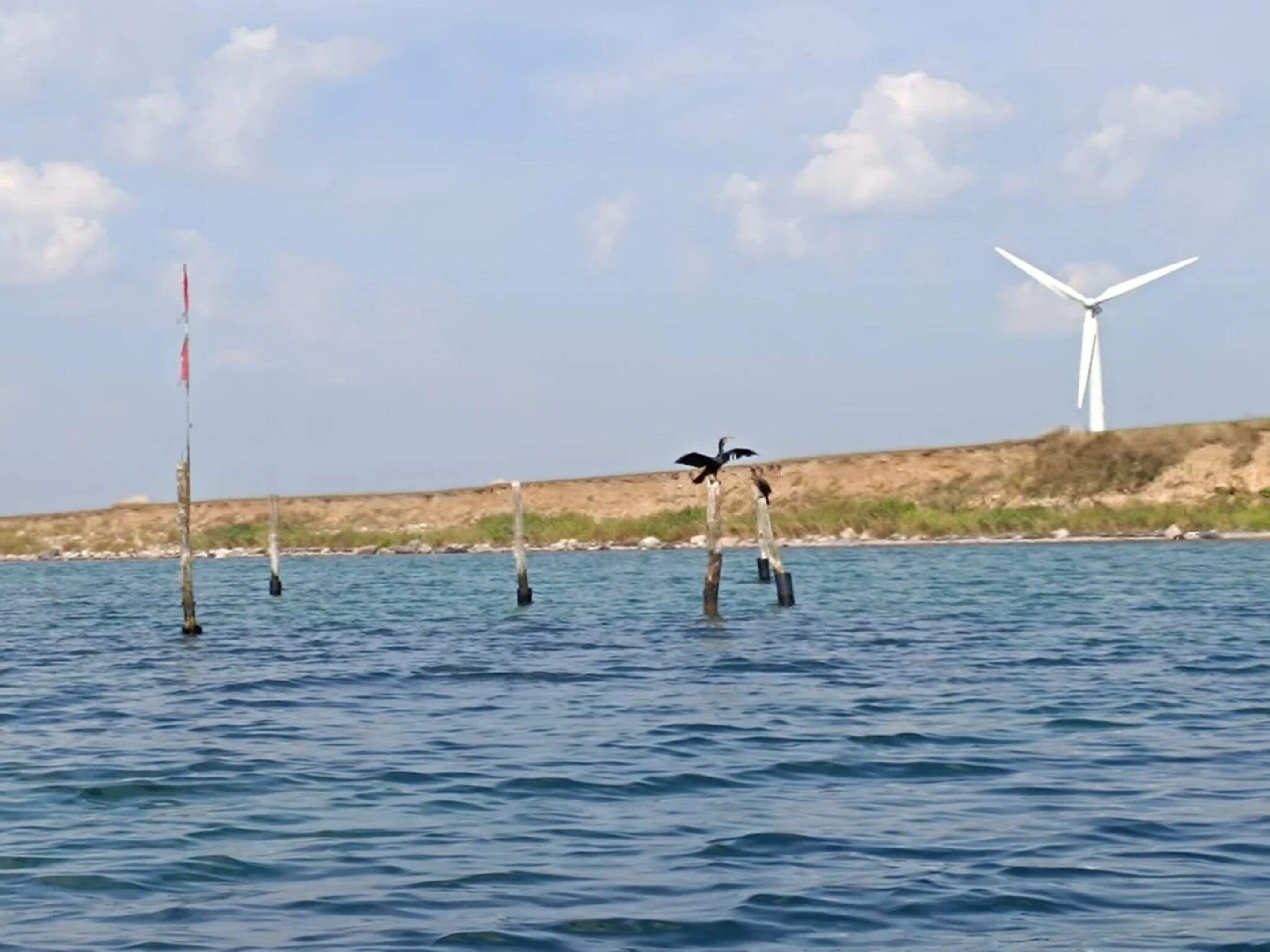 Ruhige Wasserfläche mit einem Windrad in der Ferne.