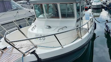 House | Marina