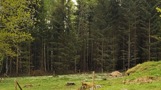 Uklassifisert bilde, 1 av 20, knapp