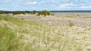 Una playa con dunas de arena y vegetación escasa.
