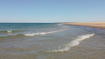 Una playa con agua cristalina y una orilla arenosa.