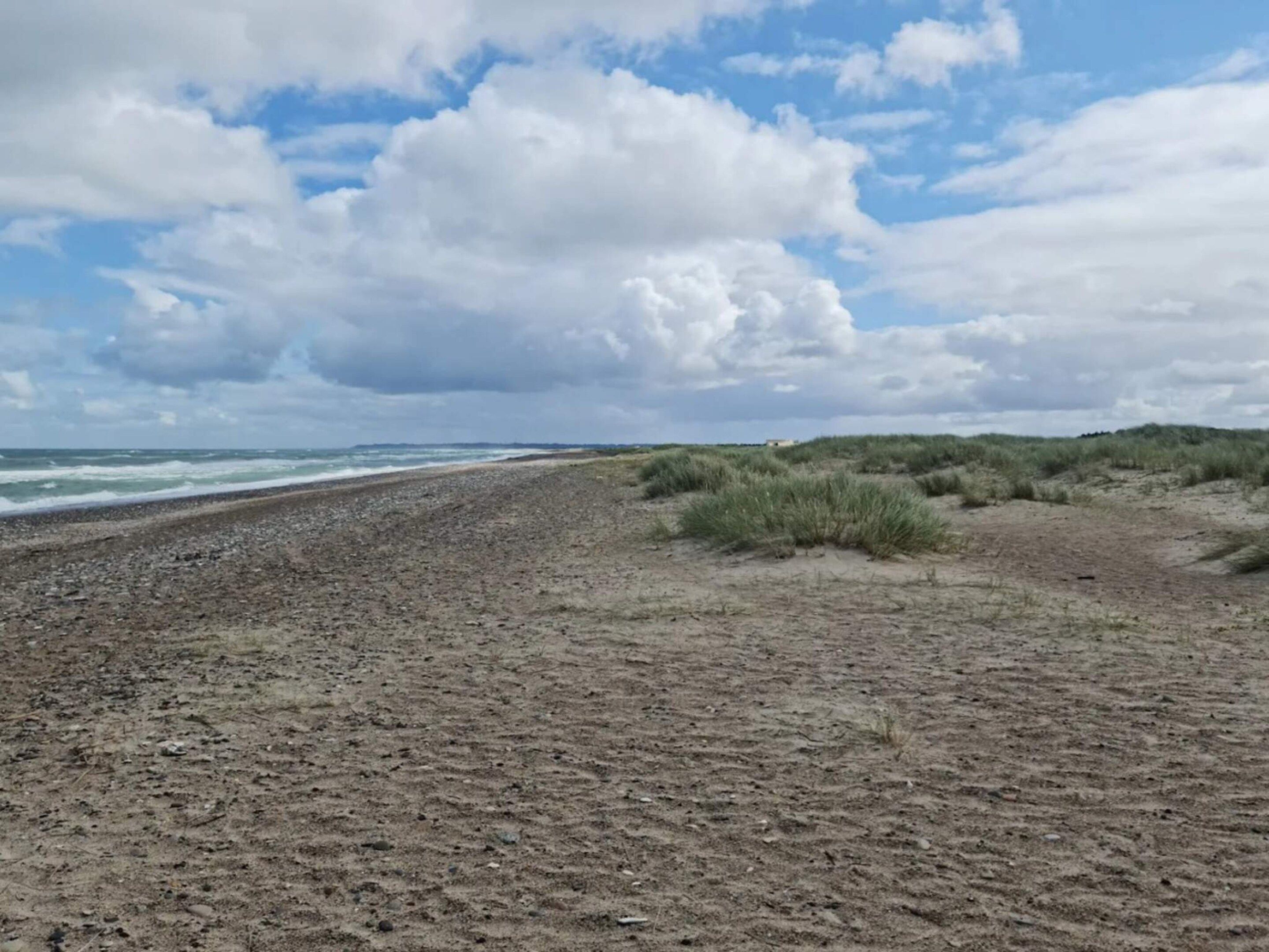 En strand med stenet bund, græsdyner og en overskyet himmel.