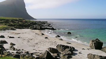 Eksteriør