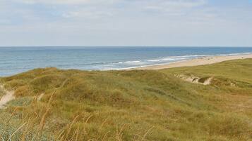Pantai