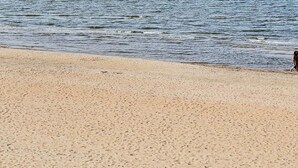 A beach with a sandy shore and calm water. - Holiday Home in Fängersfors (Falkenberg)