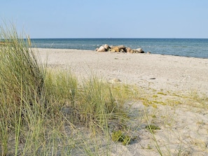 House | Beach