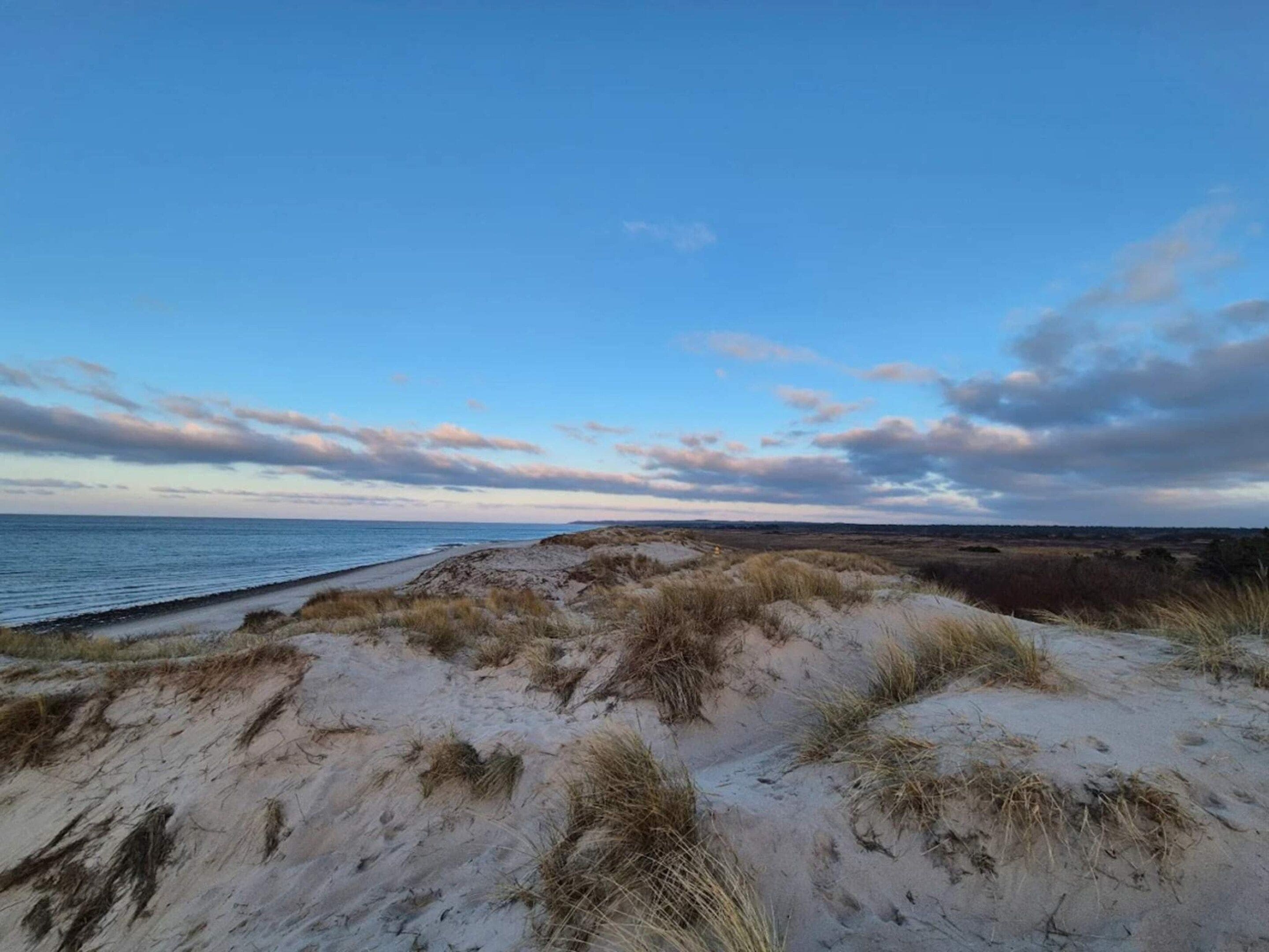 A coastal landscape with sand dunes and a beach.
