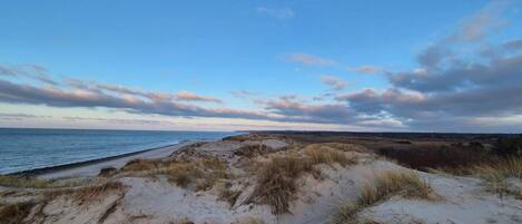 A coastal landscape with sand dunes and a beach.