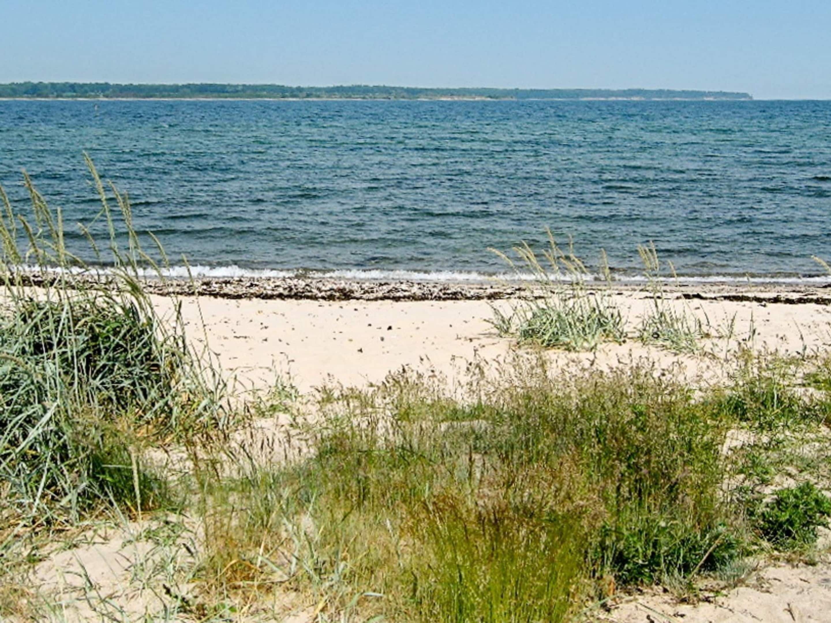 独立别墅 | 水景