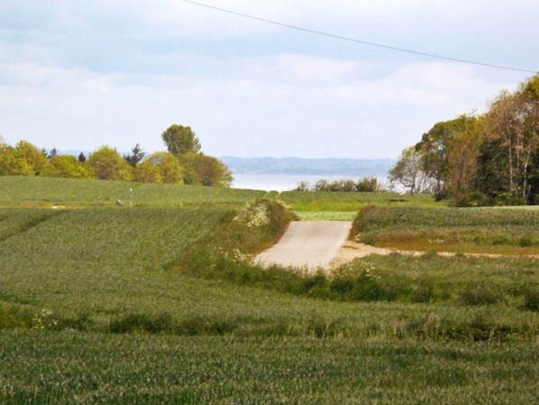 Un paisaje rural con un sendero de tierra que conduce a un cuerpo de agua, rodeado de campos y árboles.