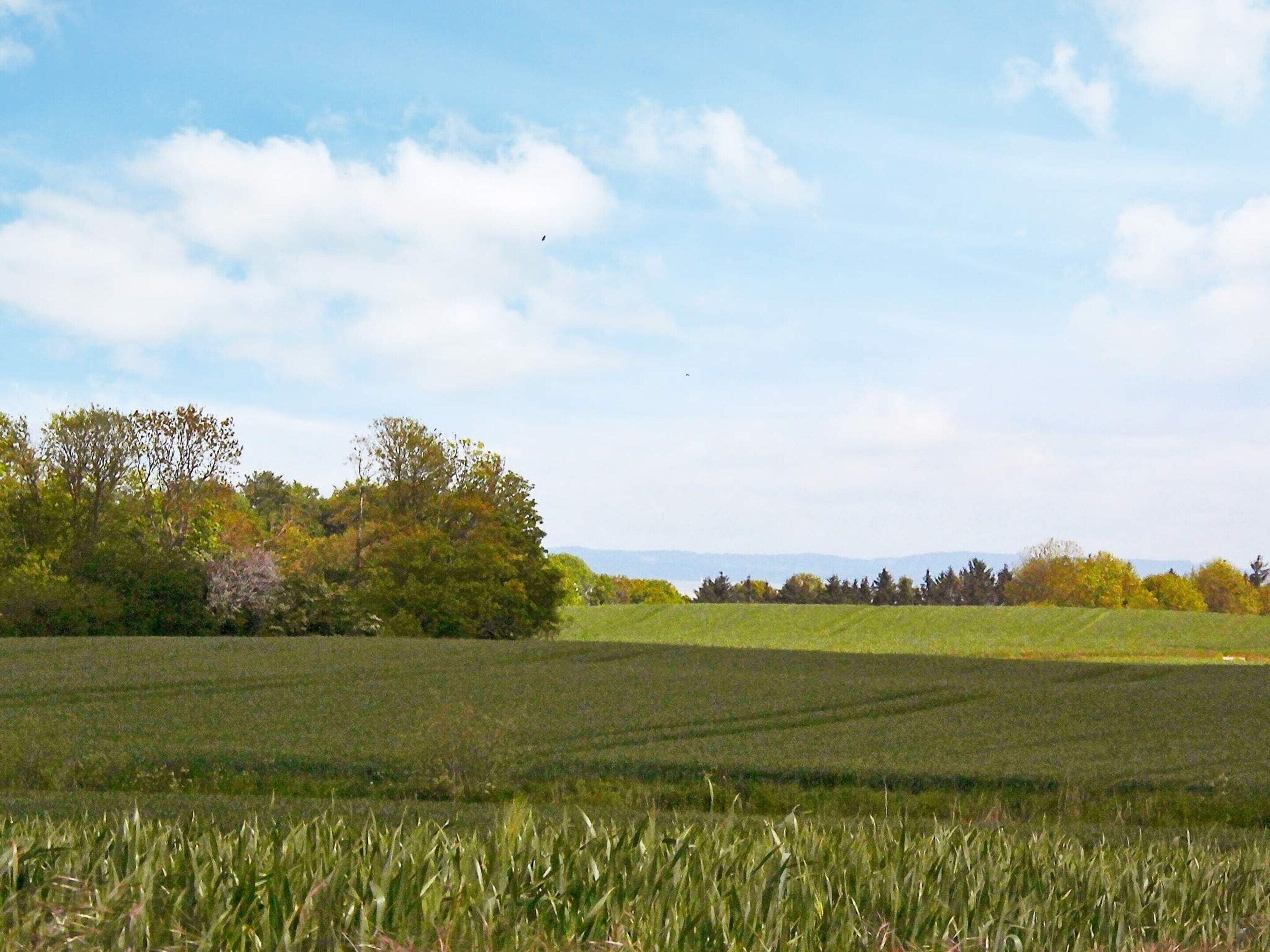 A field with a line of trees in the distance and a clear sky.