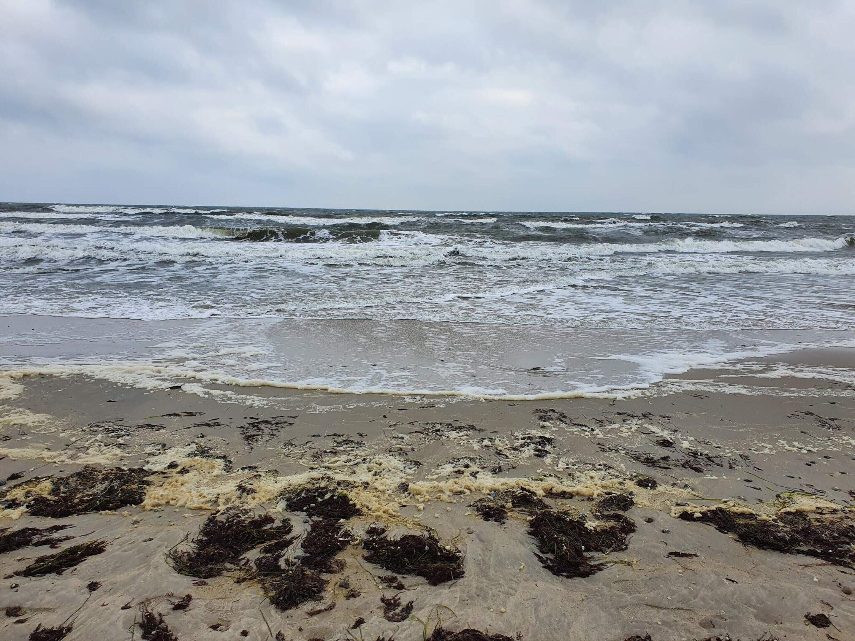 Une plage avec des vagues, des algues et un ciel nuageux.
