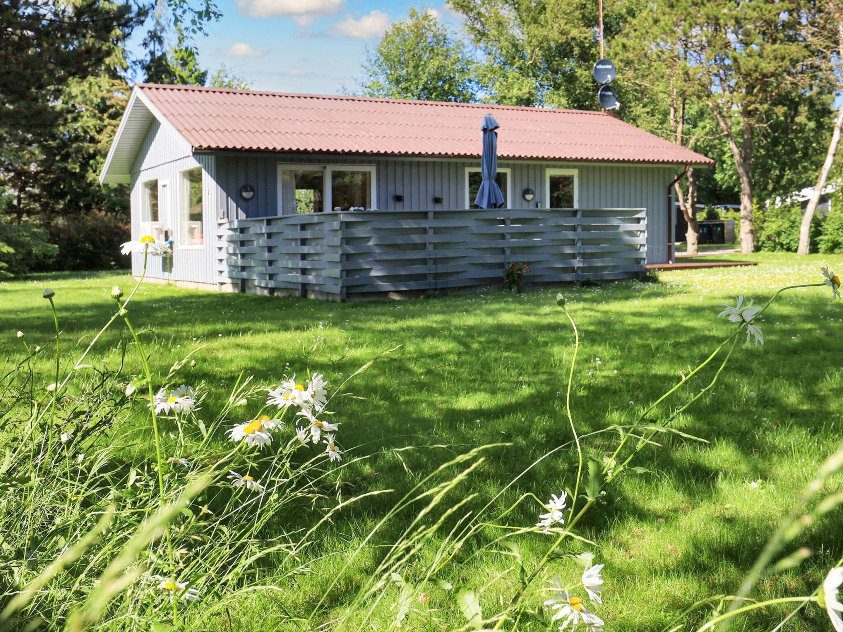 A small, single-story building with a red roof, surrounded by a grassy area with wildflowers.