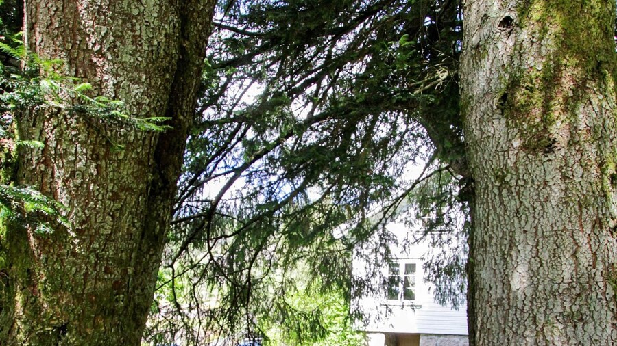 8 Person Holiday Home in Kvas