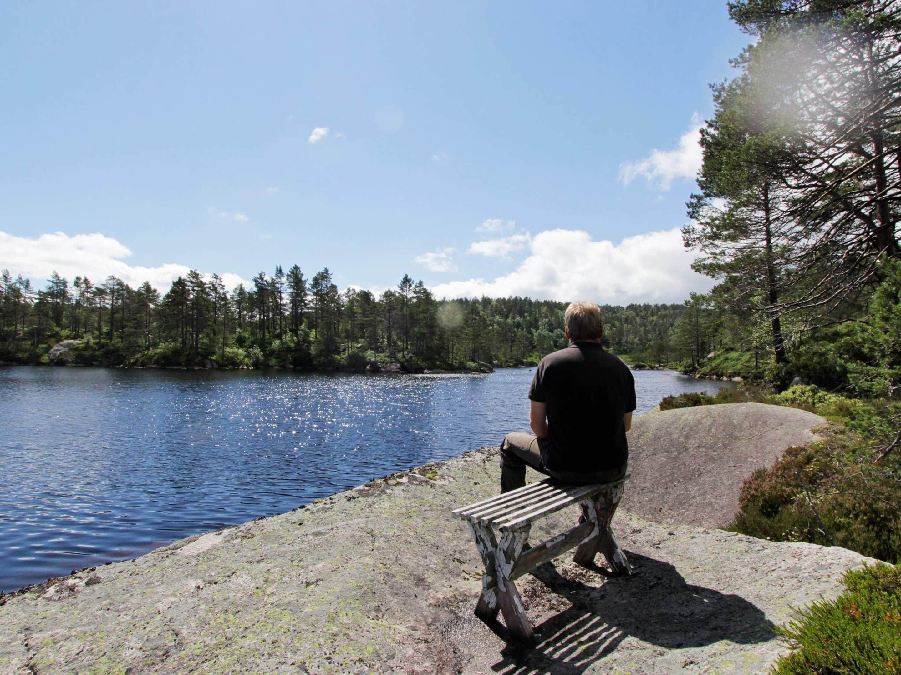 Un hombre sentado en un banco junto a un lago, con un bosque al fondo.