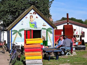 House | Property grounds