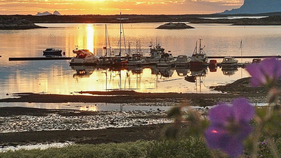 Holiday Home in Dønna