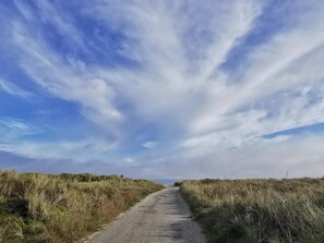 House | Miscellaneous - 6 Person Holiday Home in Albaek-by Traum (Jerup)