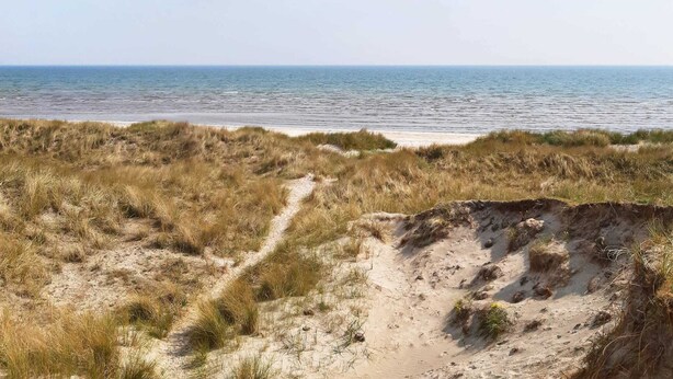Een strand met een zandpad dat naar het water leidt, omgeven door grasduinen.