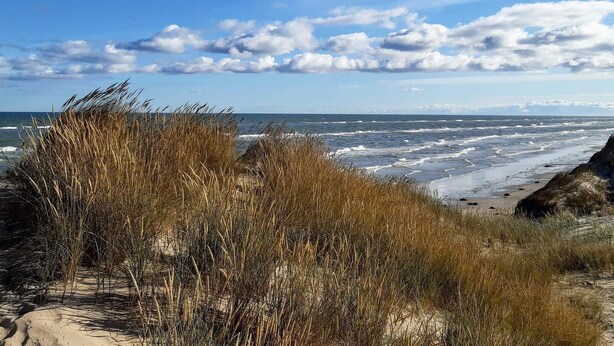 A beach with sand dunes and a view of the ocean. - 6 Person Holiday Home in Skagen (Skagen)