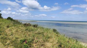 A coastal landscape with a grassy foreground, a calm sea, and a clear sky.