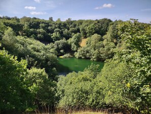 House | Miscellaneous - 8 Person Holiday Home in Gjern-by Traum (Gjern)