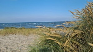 Platja amb sorra, gespa i l'oceà.